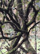 12_2025-11-01_Nette-Schieferpfad