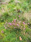 17_2025-11-01_Nette-Schieferpfad