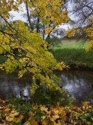 31_2025-11-01_Nette-Schieferpfad