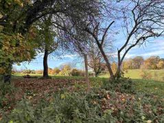 02_2025-11-05_Von_Mehlem_ins_Ländchen