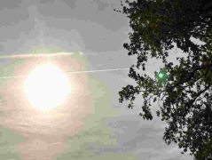 10_2025-11-05_Von_Mehlem_ins_Ländchen