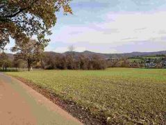 12_2025-11-05_Von_Mehlem_ins_Ländchen