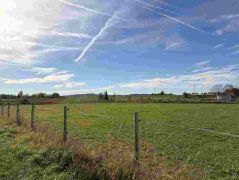 14_2025-11-05_Von_Mehlem_ins_Ländchen