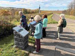 17_2025-11-05_Von_Mehlem_ins_Ländchen