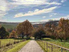 21_2025-11-05_Von_Mehlem_ins_Ländchen