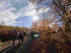 29_2025-11-05_Von_Mehlem_ins_Ländchen