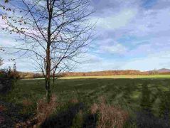 33_2025-11-05_Von_Mehlem_ins_Ländchen