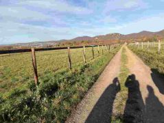 34_2025-11-05_Von_Mehlem_ins_Ländchen