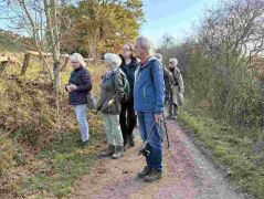 37_2025-11-05_Von_Mehlem_ins_Ländchen