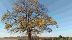 01_2025-11-08_Römerkanal_7