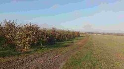 03_2025-11-08_Römerkanal_7