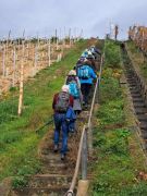 01_2025-11-15_Birnen_und_Rotwein