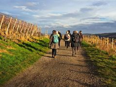 09_2025-11-15_Birnen_und_Rotwein