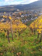 10_2025-11-15_Birnen_und_Rotwein