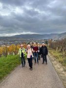 19_2025-11-15_Birnen_und_Rotwein