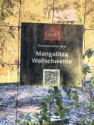 24_2025-11-22_Apollinarisschleife