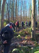 25_2025-11-22_Apollinarisschleife