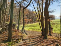 34_2025-11-22_Apollinarisschleife