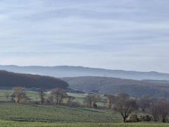 35_2025-11-22_Apollinarisschleife