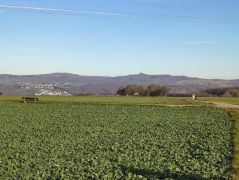 37_2025-11-22_Apollinarisschleife