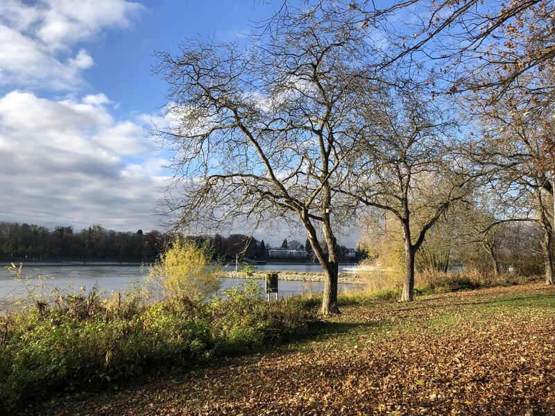 Foto 24.11.21 14 04 54