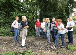 Foto_04.08.21_12_30_49 Foto_04.08.21_12_30_49