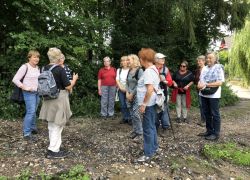 Foto_04.08.21_12_30_53 Foto_04.08.21_12_30_53