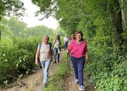 Foto_04.08.21_12_53_05_1 Foto_04.08.21_12_53_05_1