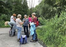 Foto_04.08.21_13_04_55 Foto_04.08.21_13_04_55