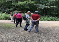 Foto_04.08.21_13_46_50_1 Foto_04.08.21_13_46_50_1