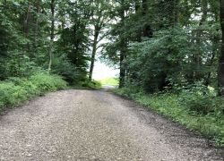 Foto_04.08.21_13_49_24 Foto_04.08.21_13_49_24