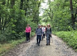 Foto_04.08.21_13_49_52 Foto_04.08.21_13_49_52