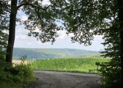 Foto_04.08.21_13_50_05 Foto_04.08.21_13_50_05