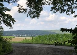 Foto_04.08.21_13_50_14 Foto_04.08.21_13_50_14