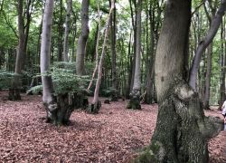 Foto_04.08.21_13_55_52 Foto_04.08.21_13_55_52