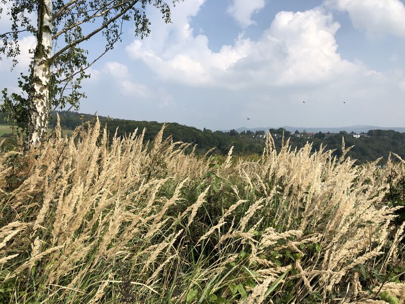 Foto 18.09.21 13 14 40