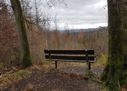 WhatsApp_Image_2021-12-01_at_18.58.37